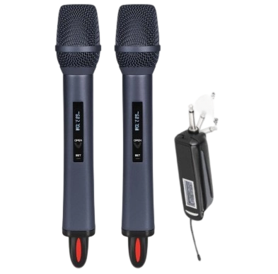 Pro Dual Wireless microphone