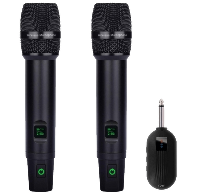 2.4G dual Wireless microphone