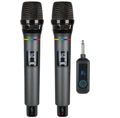 2.4G dual Wireless microphone