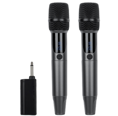 2.4G dual Wireless microphone