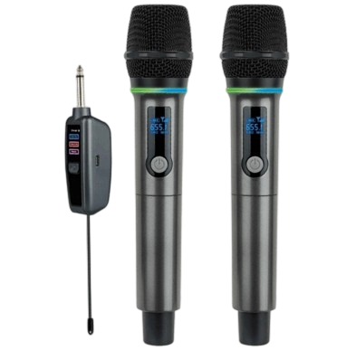 2.4G dual Wireless microphone