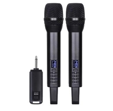 2.4G dual Wireless microphone
