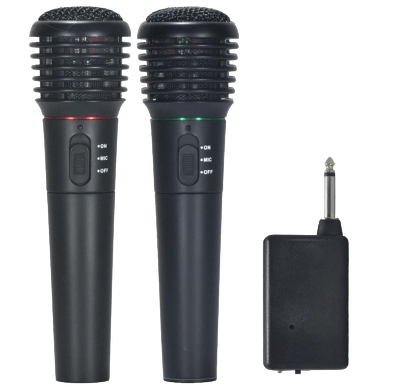 2.4G dual Wireless microphone