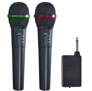 2.4G dual Wireless microphone