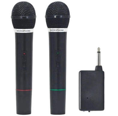 2.4G dual Wireless microphone